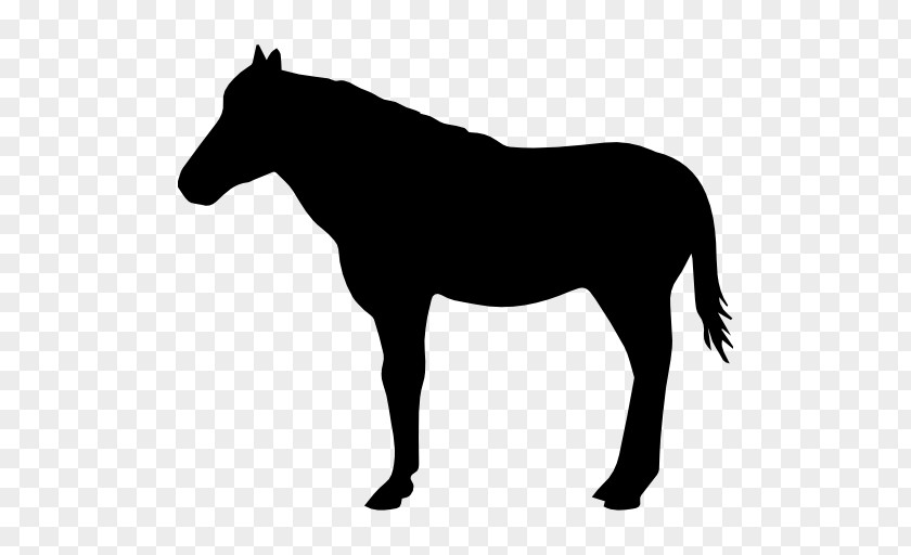 Standing Horse American Quarter Silhouette Drawing Clip Art PNG
