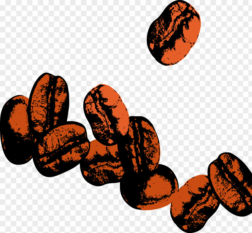 Vector Coffee Beans Bean PNG