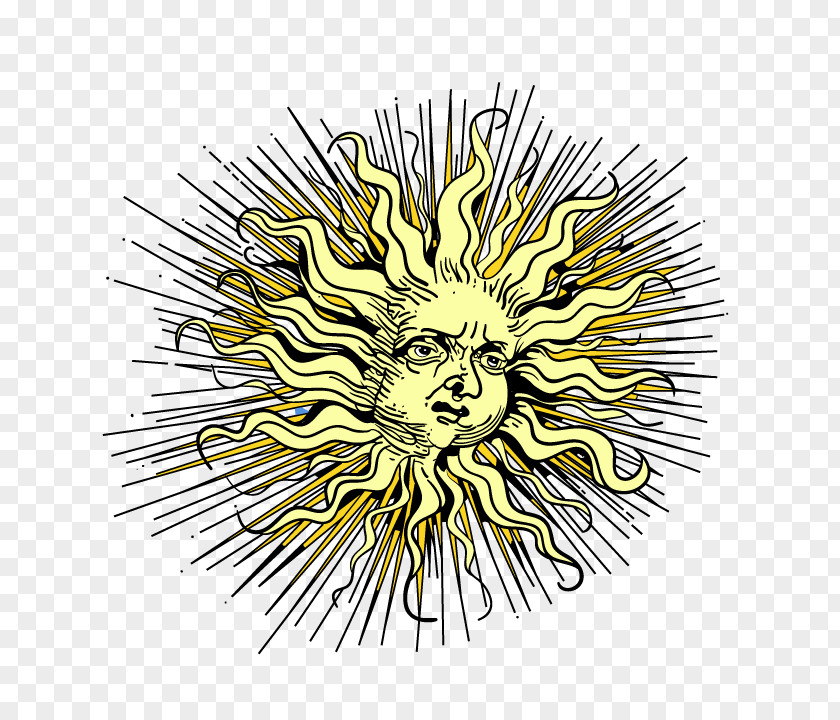 Vector Fried Hair Sun Graphic Design Euclidean PNG