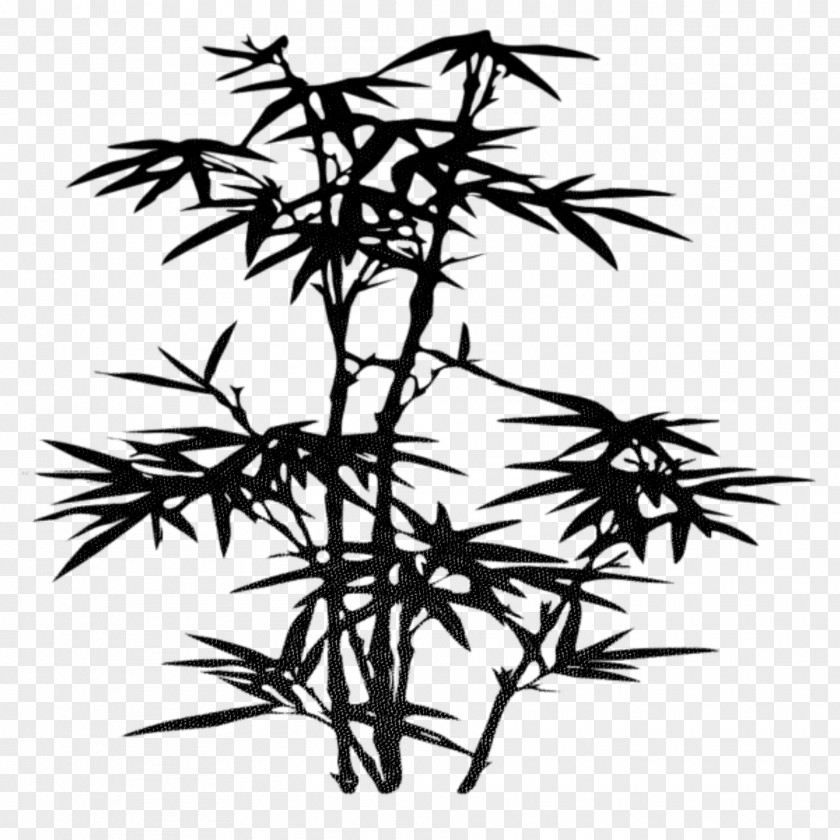 Zen Bamboo Antiquity Japan Drawing Tree Clip Art PNG