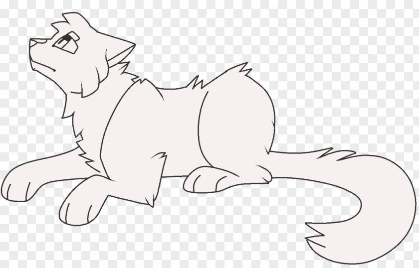 Cat Line Art Dog Felidae Bear PNG