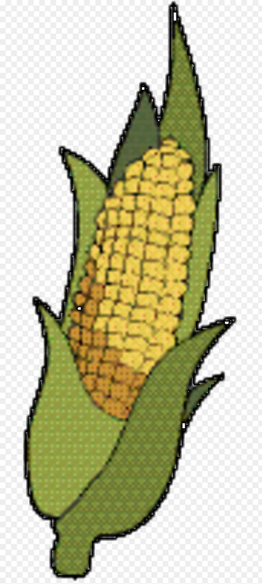 Corn Plant Cartoon PNG