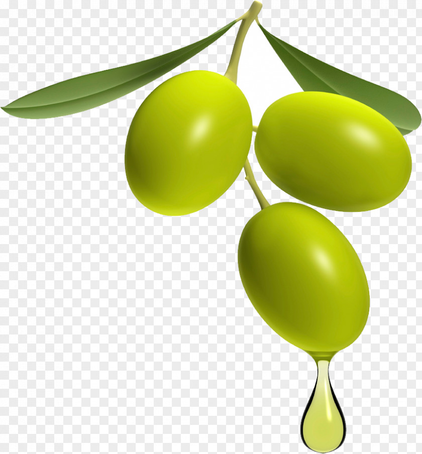 Olives Greek Cuisine Italian Olive Oil PNG