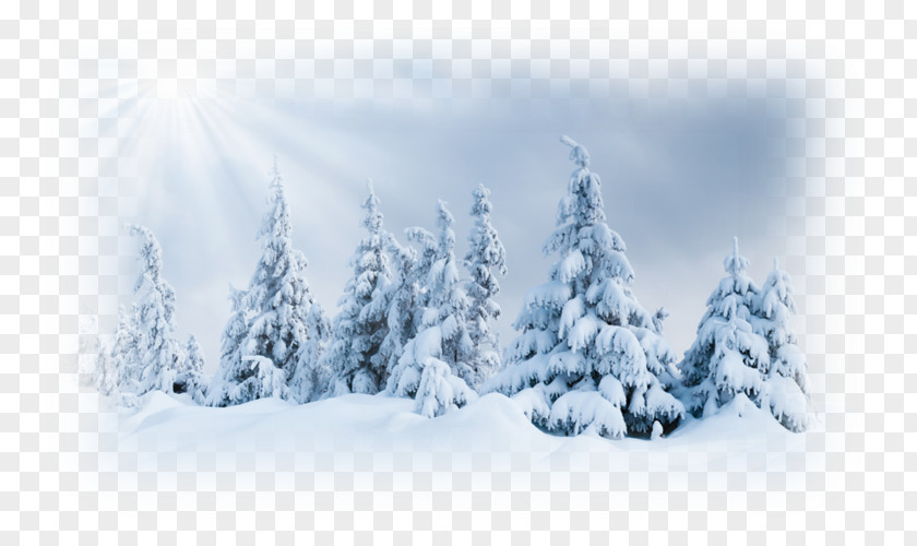 Winter Ultraviolet Snow Royalty-free Clip Art PNG