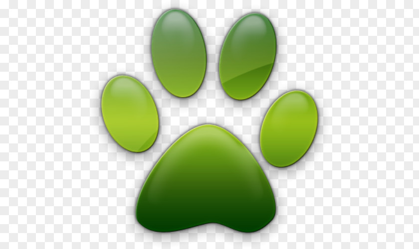 Cat Paw Green PNG