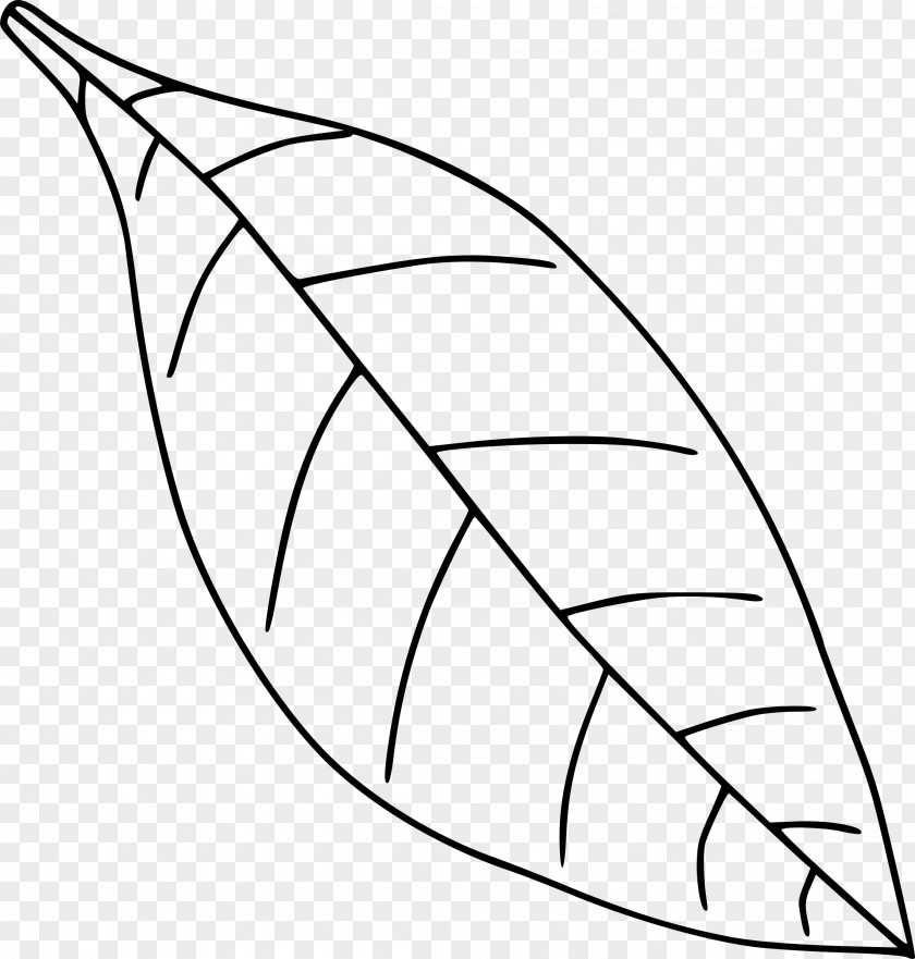 Draw Leaf Drawing Black And White Clip Art PNG