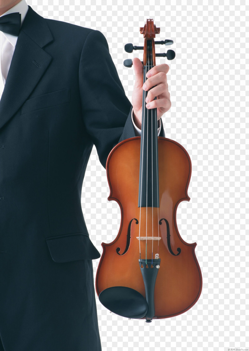 Violin And People Bow Viola Cello String PNG