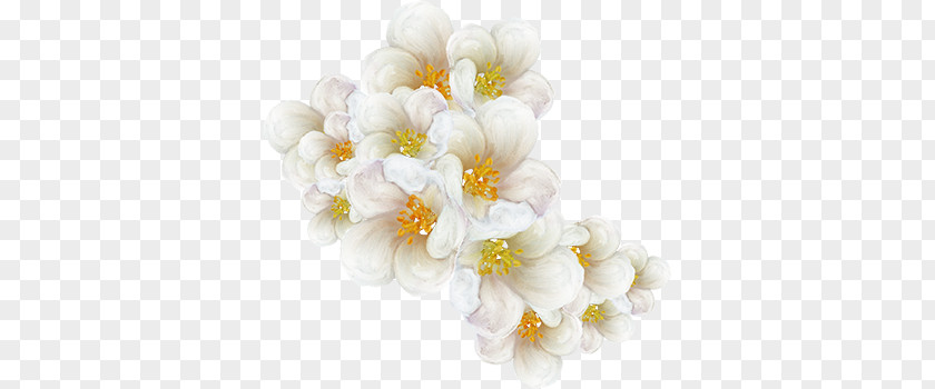 White Flower PNG flower clipart PNG