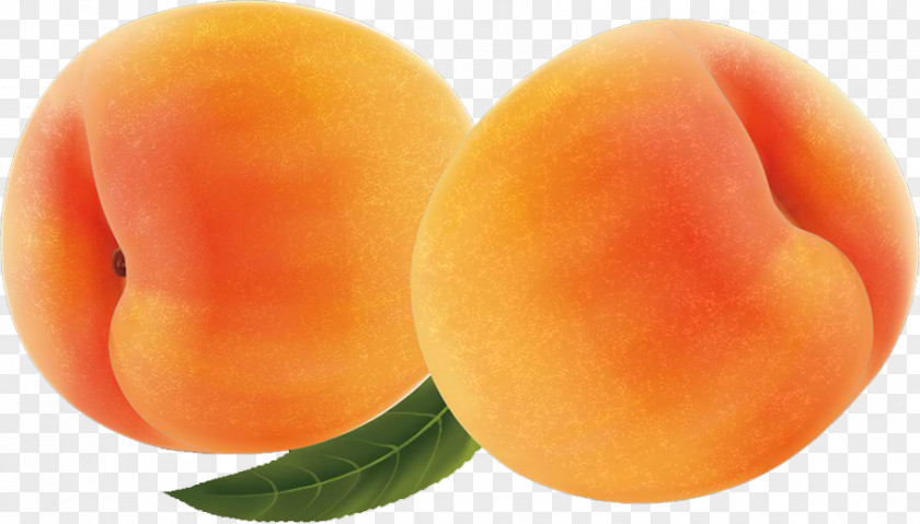 Apricot Food Fruit PNG