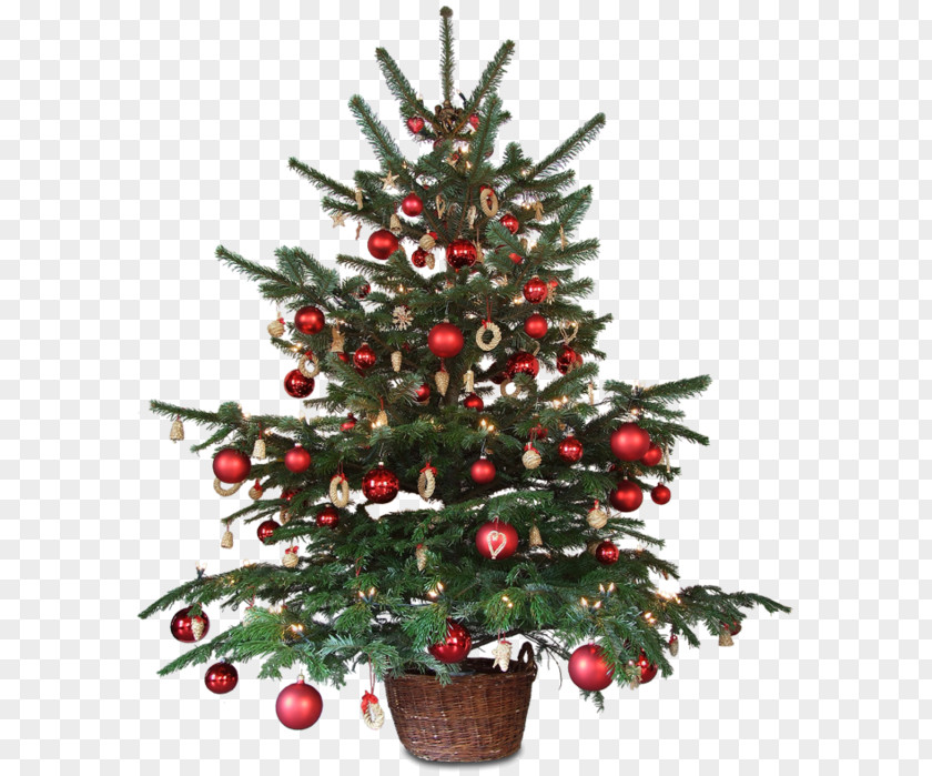 Christmas Decoration Animated Film Tree PNG