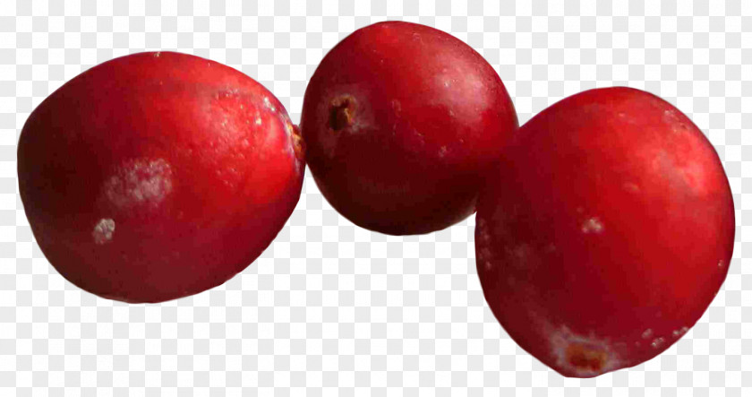 Cranberry Frutti Di Bosco PNG