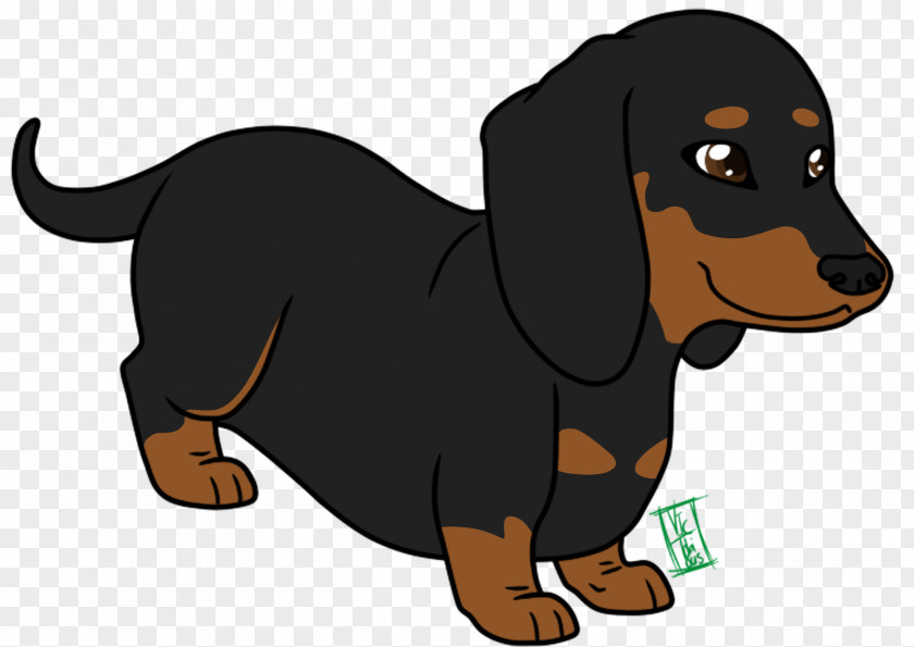Cute Dog Dachshund Puppy Cartoon Animation Clip Art PNG