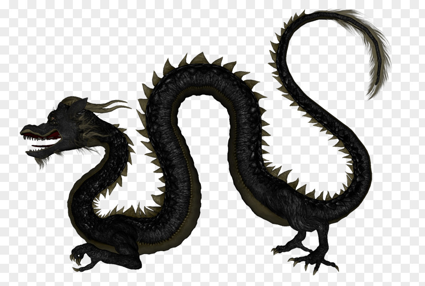 Dragon Chinese Stock Photography Royalty-free Illustration PNG