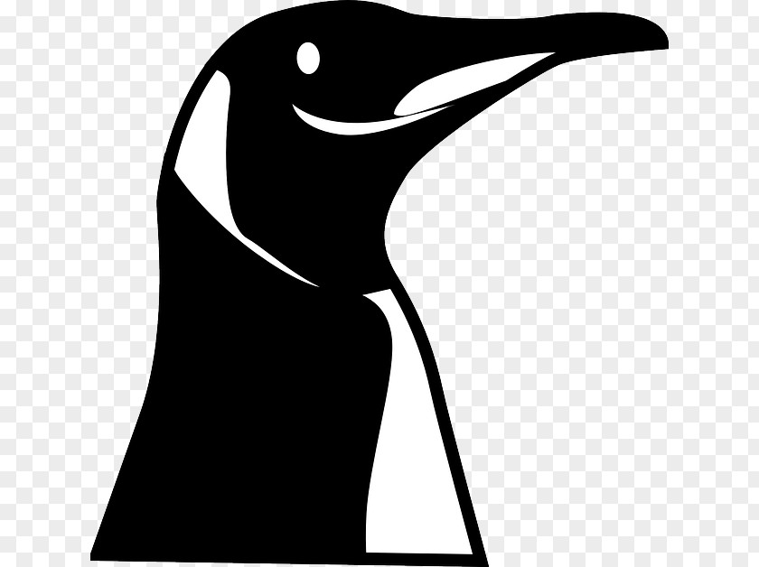 Penguin Vector Emperor Bird Clip Art PNG