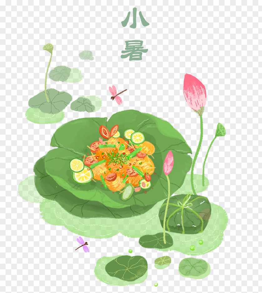 Perennial Plant Water Lily Green Leaf Flower Vegetarian Food PNG