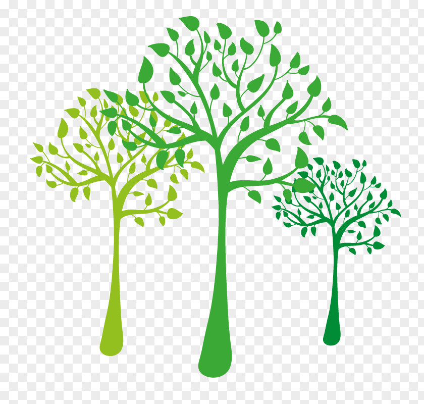 Tree Clip Art PNG