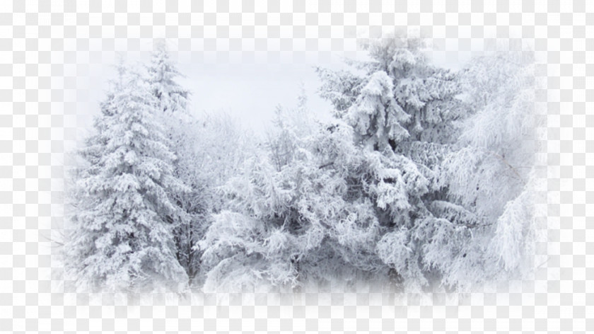 Winter Snow Desktop Wallpaper Cold PNG