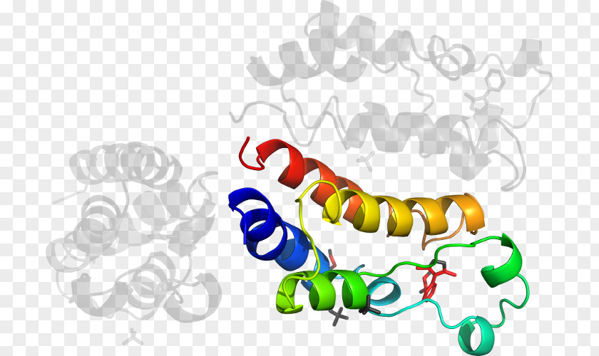 Alhajero Clip Art Product Organism Line PNG