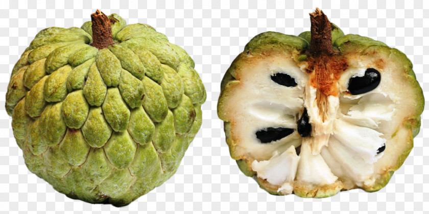 Apple Custard-apple Sugar-apple Annona Squamosa Cherimoya PNG