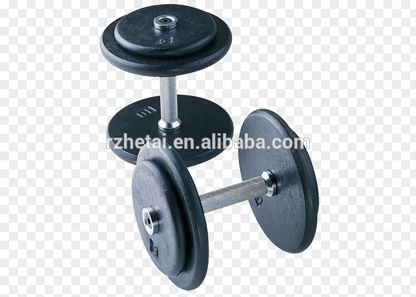 Arabic Style Dumbbell Barbell Exercise Fitness Centre Weight PNG