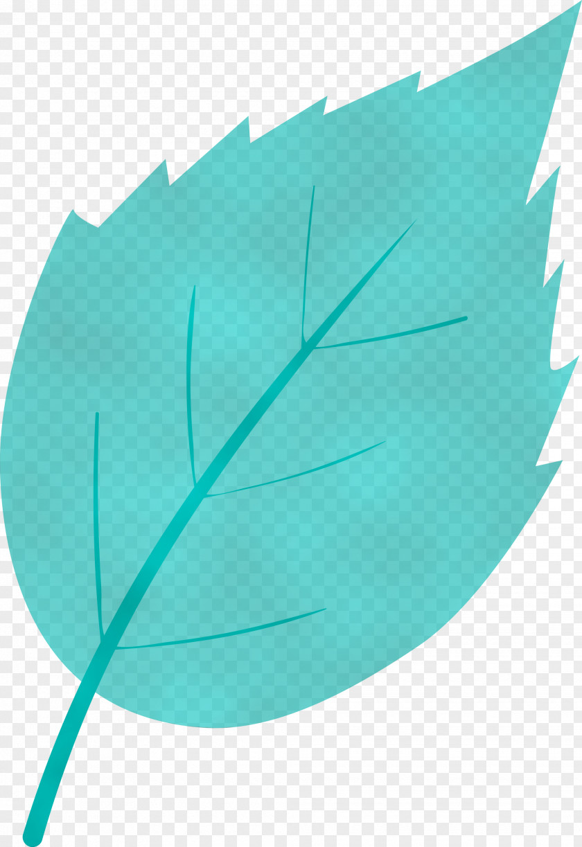 Feather PNG