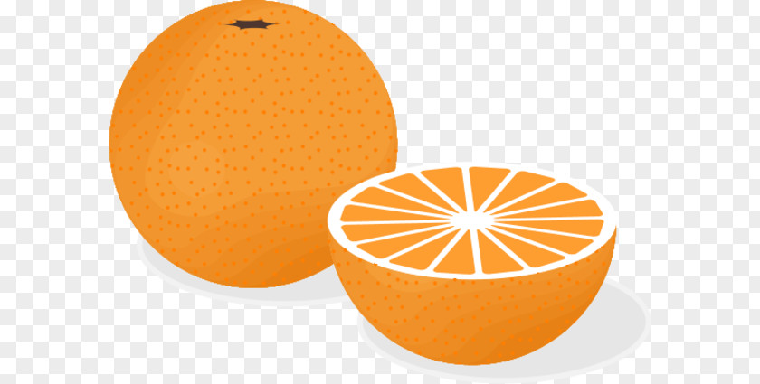 Fruit Orange Cliparts Juice Salad Clip Art PNG