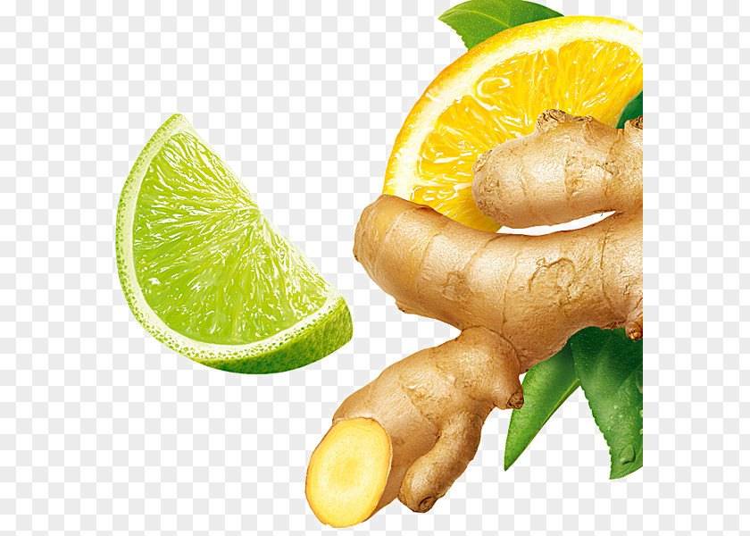 Ginger And Lemon Tea PNG