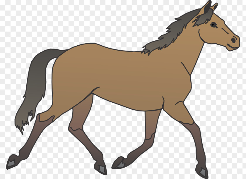 Horse Pony Foal Clip Art PNG