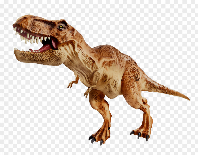 Tyrannosaurus Velociraptor Fauna Terrestrial Animal PNG