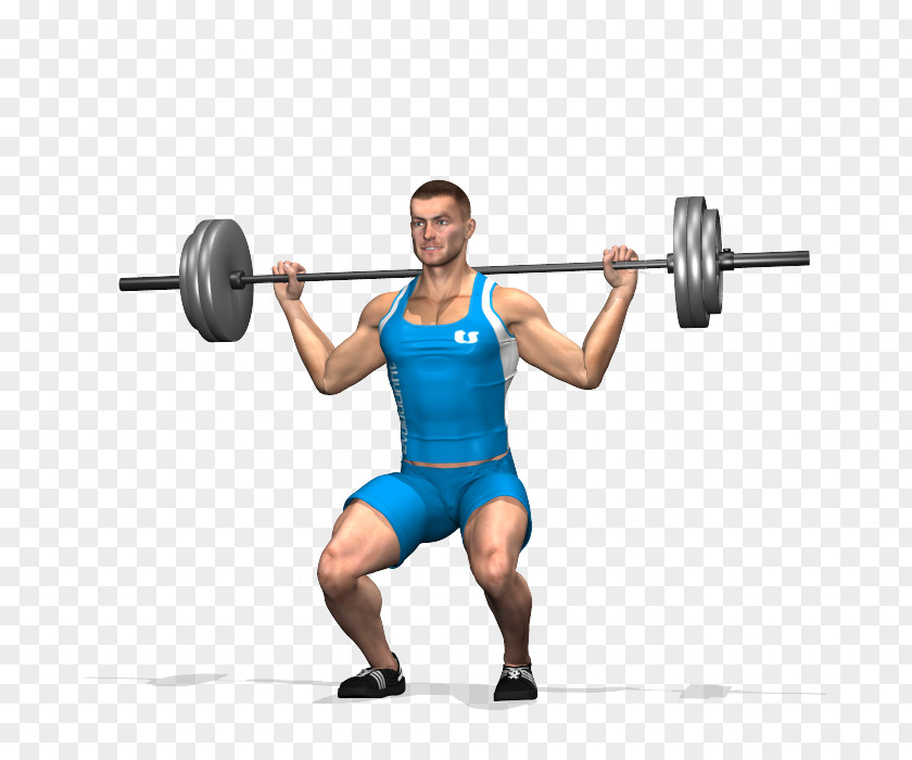 Barbell Calf Raises Smith Machine Squat PNG