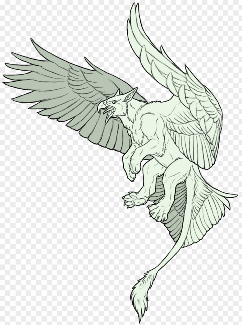 Griffin Drawing Art Sketch PNG