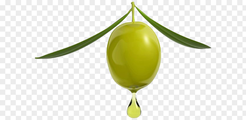 Olive Fruits Oil Mediterranean Cuisine Greek PNG