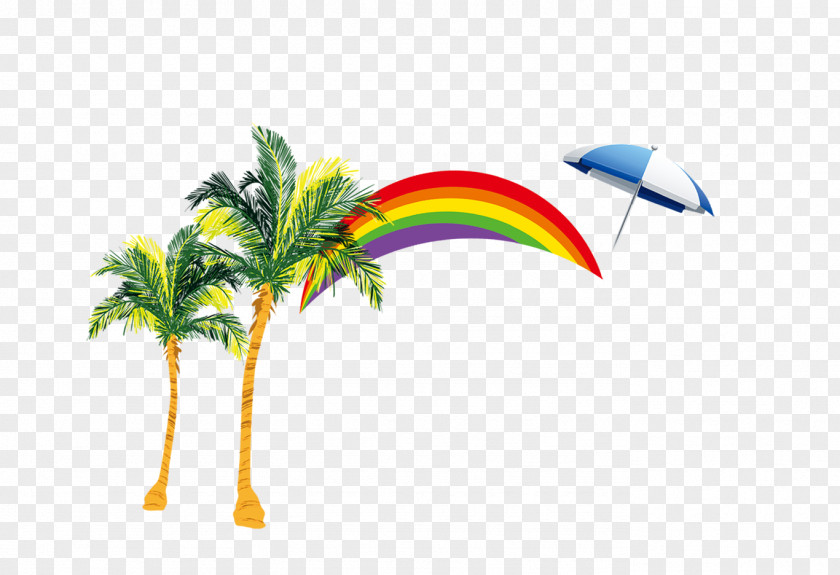 Rainbow Palm Beach Sandy Nata De Coco Coconut PNG