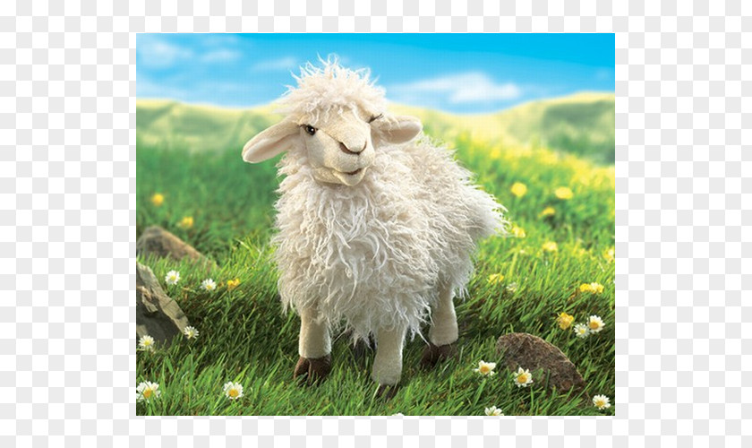 Sheep Amazon.com Hand Puppet Stuffed Animals & Cuddly Toys PNG