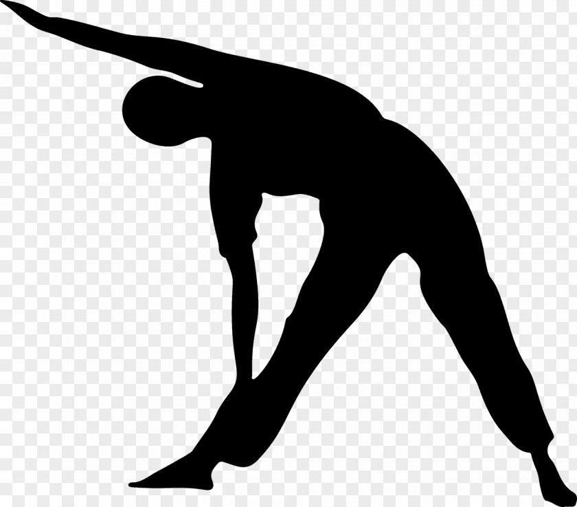 Stretching Exercises Exercise Silhouette Clip Art PNG