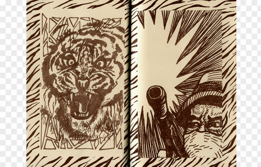 Tiger Lion Drawing /m/02csf PNG