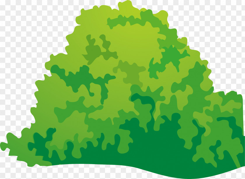 Cartoon Green Grass Drawing PNG