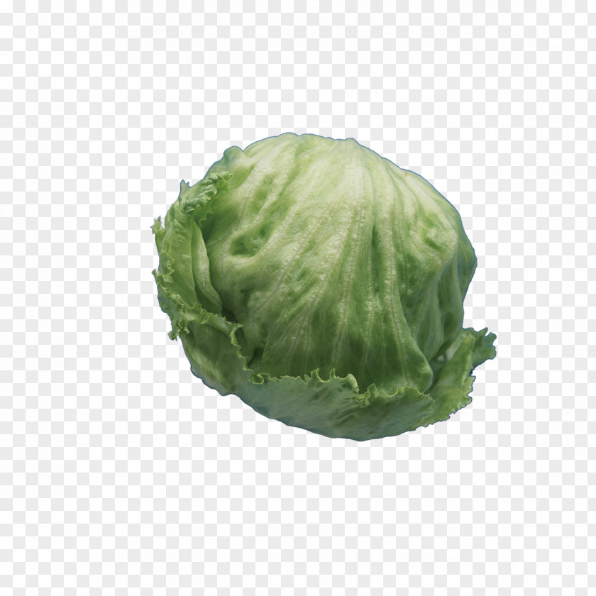 Green Cabbage Round Vegetable Celtuce PNG
