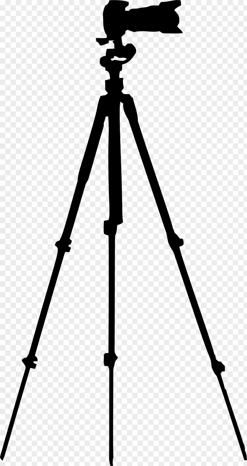Monstera Photographic Film Camera Tripod Photography PNG