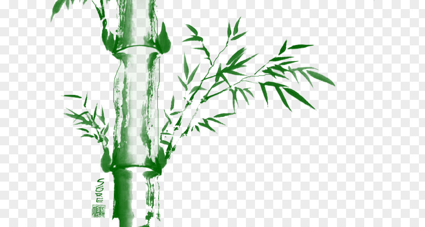Stout Bamboo Download PNG