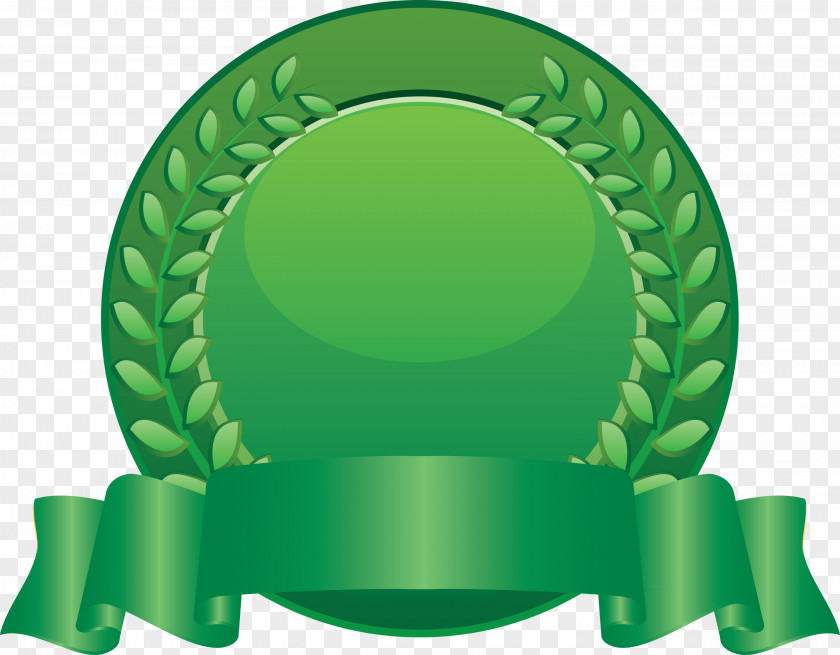 Blank Badge Award PNG