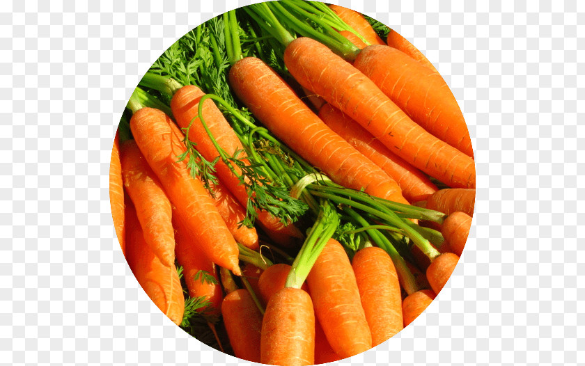 Carrot Food Juice Seed Turkey PNG