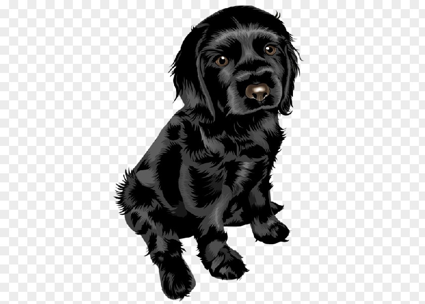 Cute Dog Puppy Yorkshire Terrier Bulldog Miniature Schnauzer Pug PNG