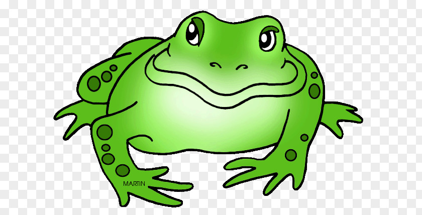 Frog Amphibians American Bullfrog Clip Art PNG