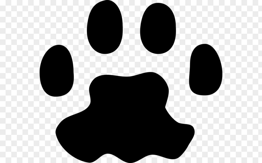 The Cats Paw Polydactyl Cat Dog PNG