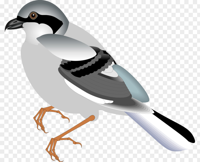 Bird Flight Sparrow Clip Art PNG