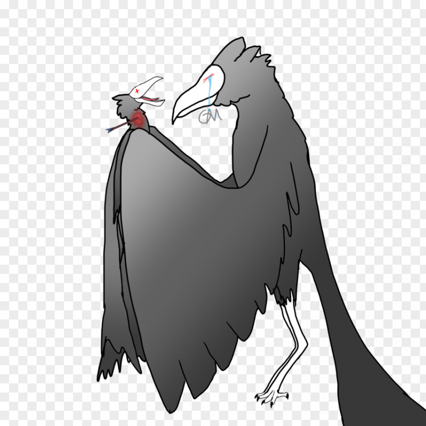 Bird Flightless Character Beak White PNG