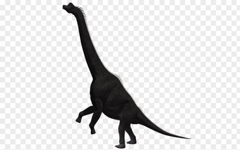 Dinosaur Brachiosaurus Stock Photography Royalty-free PNG