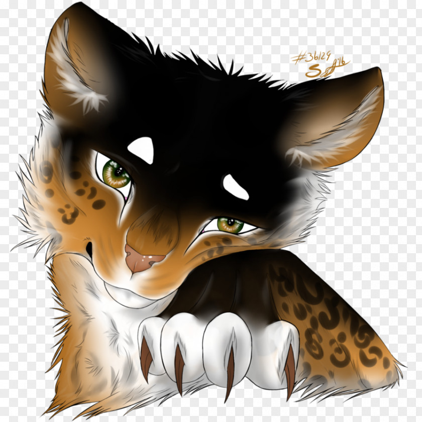 Divergent Halo Whiskers Kitten Cat Paw PNG