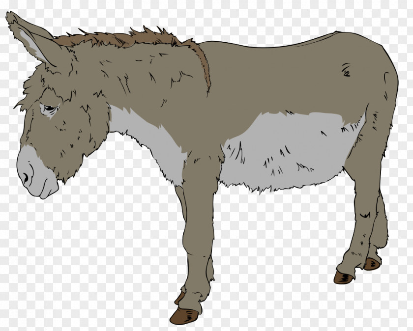 Donkey Images Free Content Clip Art PNG